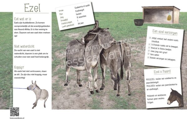 Informatiebord Ezel