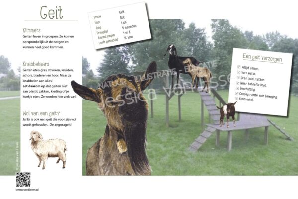 Informatiebord Geit