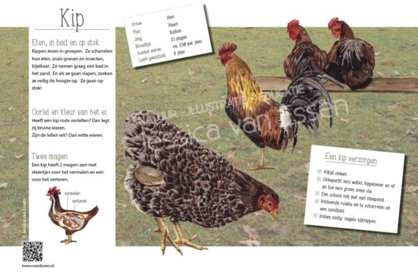 Informatiebord Kip