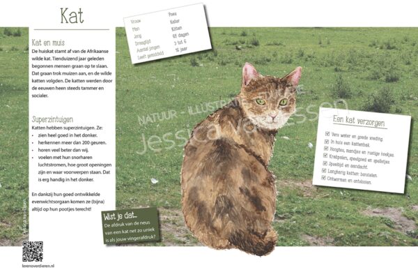 Informatiebord Kat