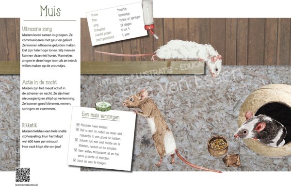 Informatiebord Muis