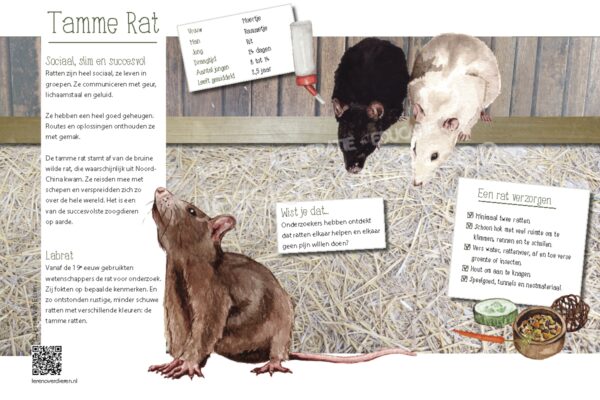 Informatiebord Rat