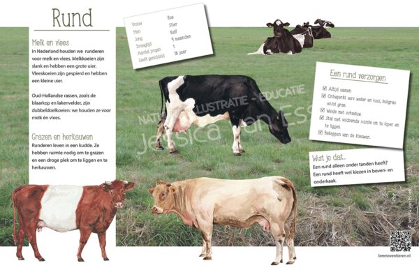 Informatiebord Rund